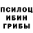 Псилоцибиновые грибы GOLDEN TEACHER JR Oscar