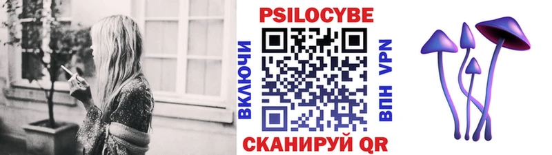Псилоцибиновые грибы GOLDEN TEACHER  Купить закладки  Аргун 