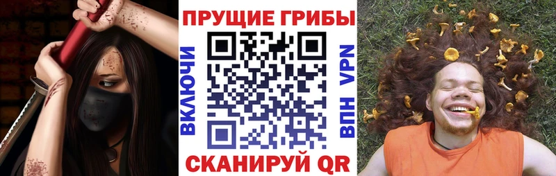 Галлюциногенные грибы прущие грибы Аргун